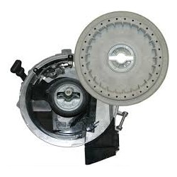 eSet Una Semilla Todo el Tiempo